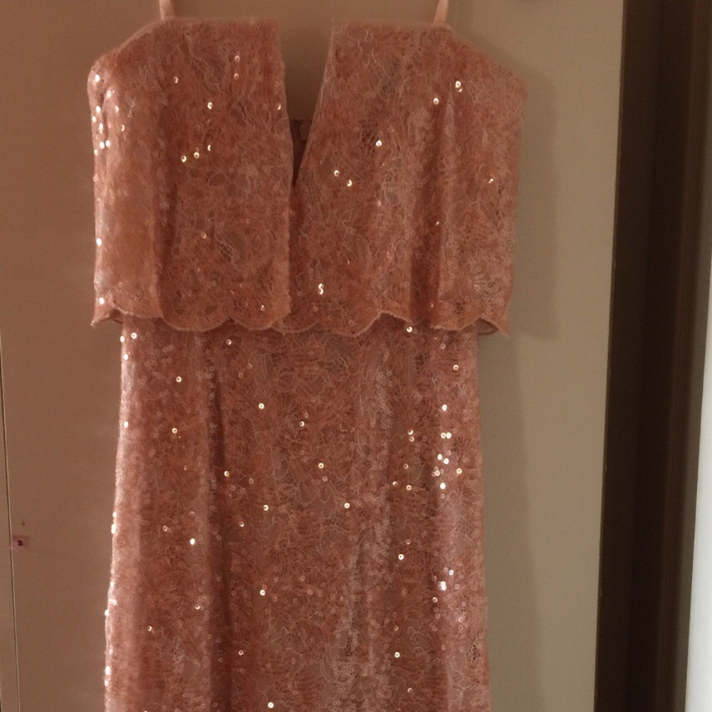 BCBGeneration Pink Floral Sequenced Prom Dress SZ4